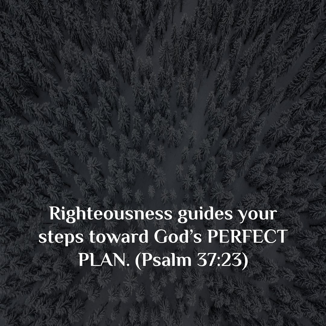 assignment_on's tweet image. The steps of the godly are ordered (established, secured) by The Lord, because He delights in every detail of their lives. That is what Righteousness can provoke on anyone's life. Choose that as your daily walk.
#guidance #steps #PerfectPlan #godly #delight