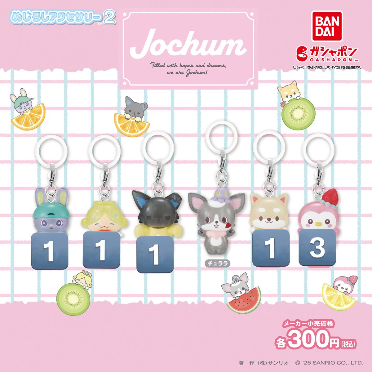 JOCHUM ジェオチャム ならぶんです めじるし 交換 【譲】画像のもの