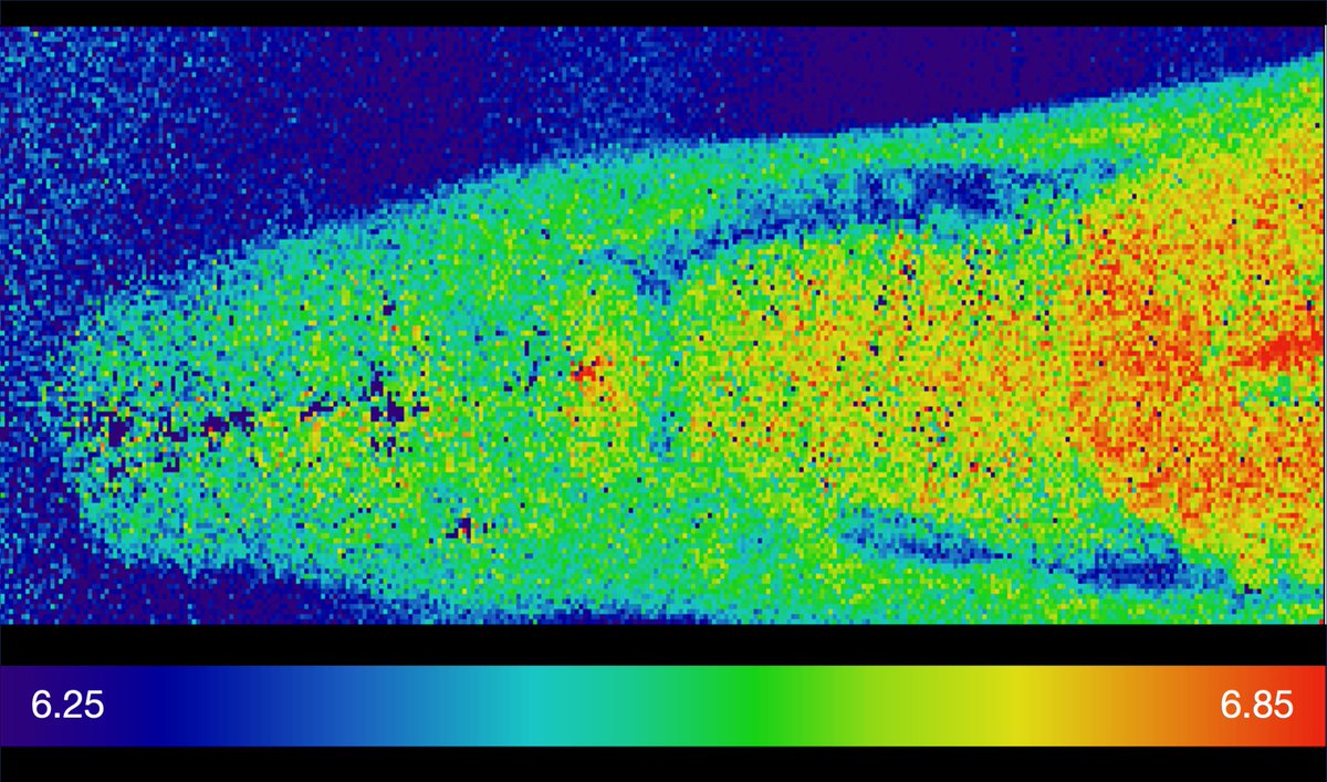 EMBL Imaging Centre tweet media