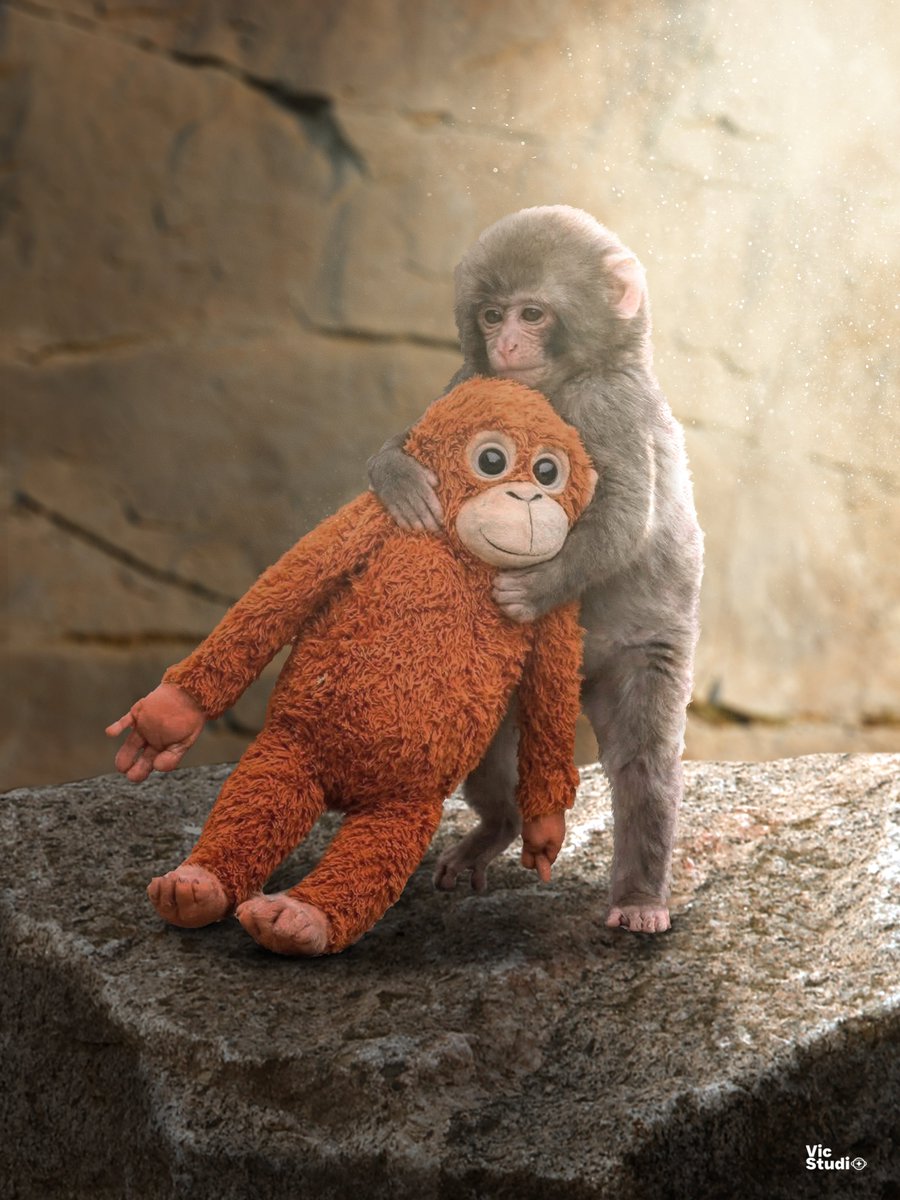 Viclumos's tweet photo. J'ai fait une créa sur le singe punch et sa peluche. #Punch #Japon https://t.co/ycDR25WTXD