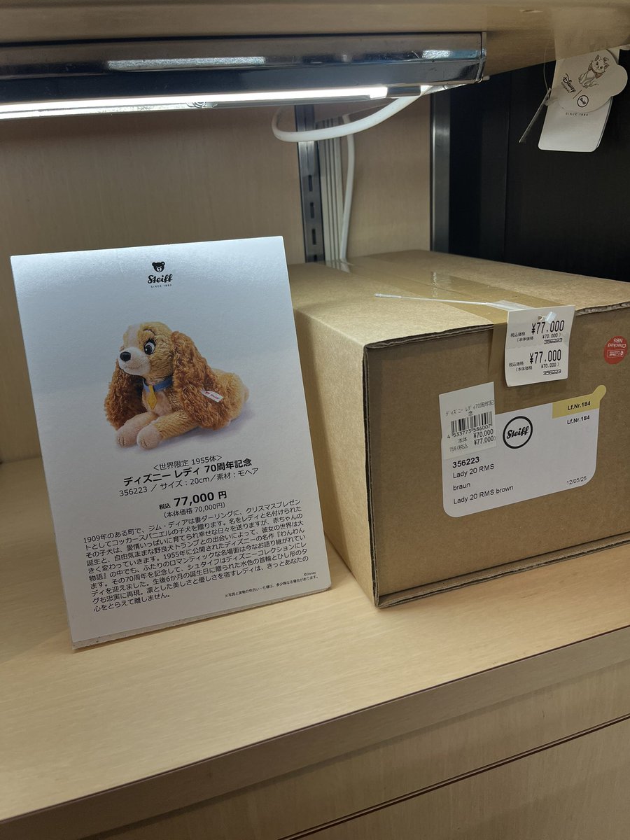 これが本当の箱入り娘。。。。