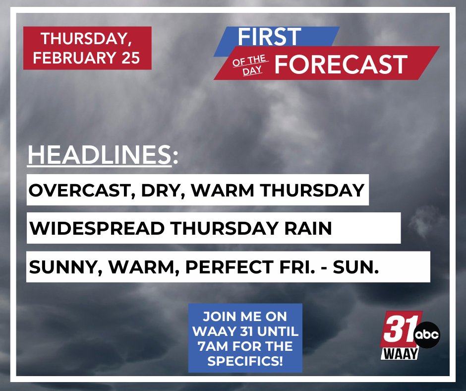 Grace Anello Tuberville tweet media