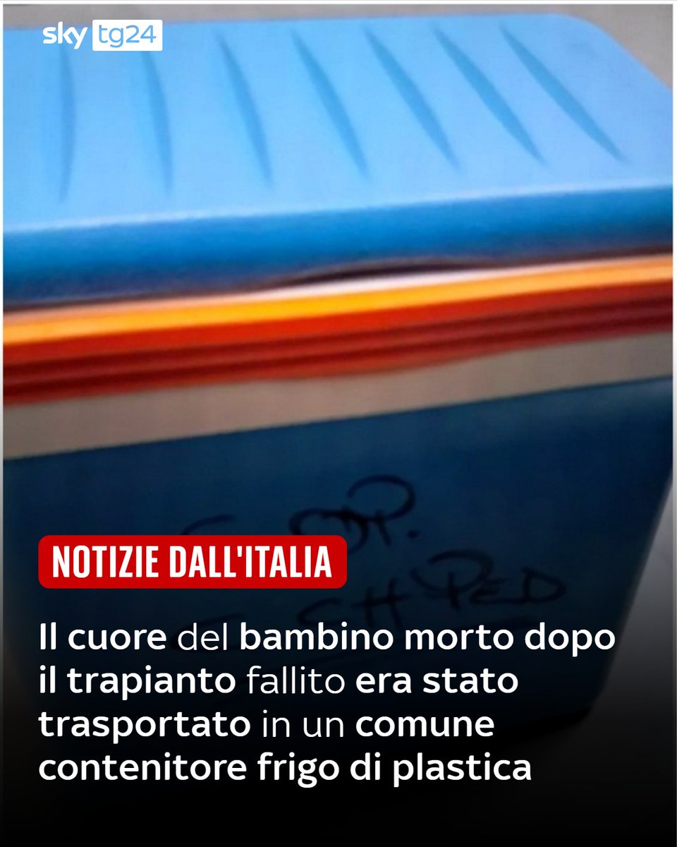 Sky tg24 tweet media