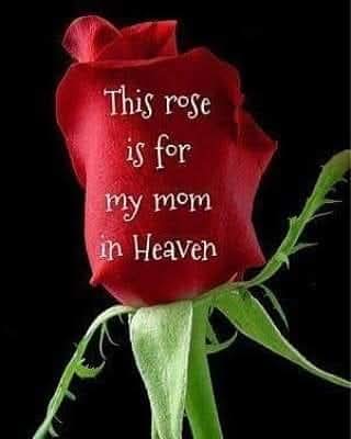 25-02-2011   <--->   25-02-2026
Ma, vandaag al weer 15 jaar geleden verdween je voor altijd uit mijn leven, 
maar niet uit mijn gedachten .....