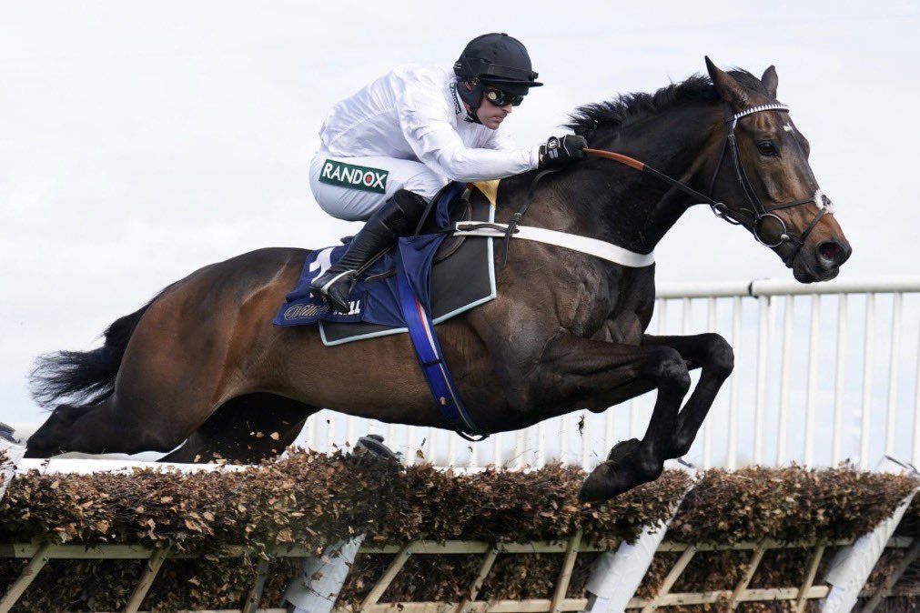 Bookies Dream tweet media