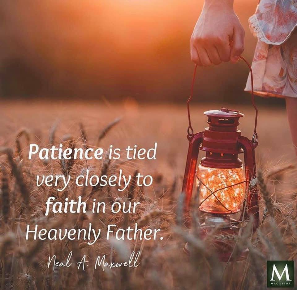 JeanineElsholz's tweet photo. “Patience is tied very closely to FAITH in our Heavenly Father.
Actually, when we are unduly impatient we are suggesting that we know what is best—better than does God."
Neal A. Maxwell
BYU Devotional, November 27, 1979.
#SaintsOnX
#StayByTheTree https://t.co/mpCyCprt1q