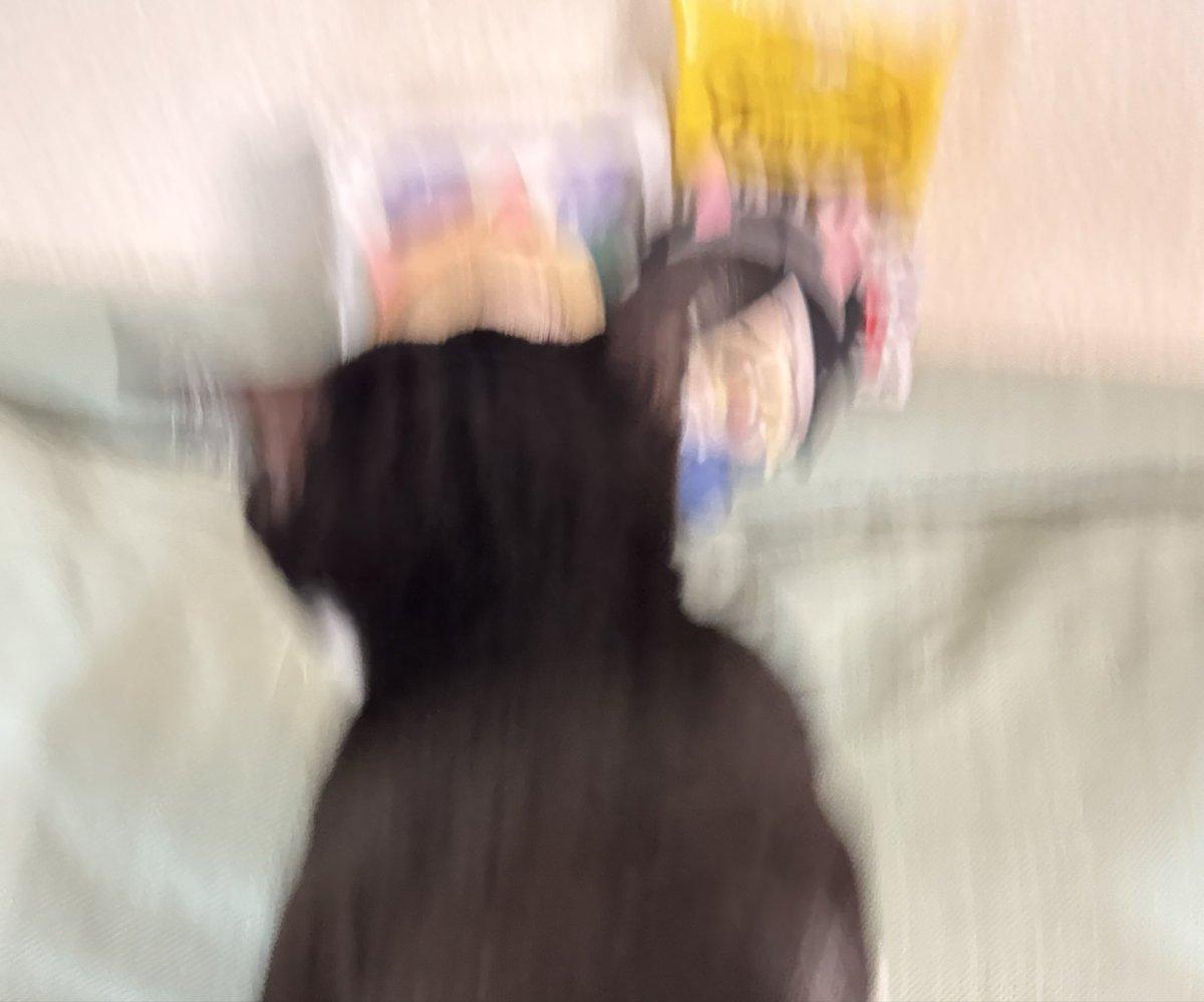 ちてししさめ
いつもの🍩💥🐈‍⬛
（ALT小劇場もみてね）