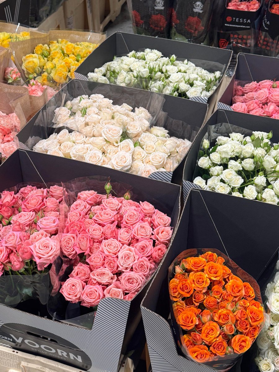 Imogen8574's tweet photo. Discover the beauty of nature with this stunning display of flowers, each box showcasing a unique arrangement. Let the vibrant colors and delicate fragrances inspire you. 🌸 https://t.co/bsw4Z4NJTv