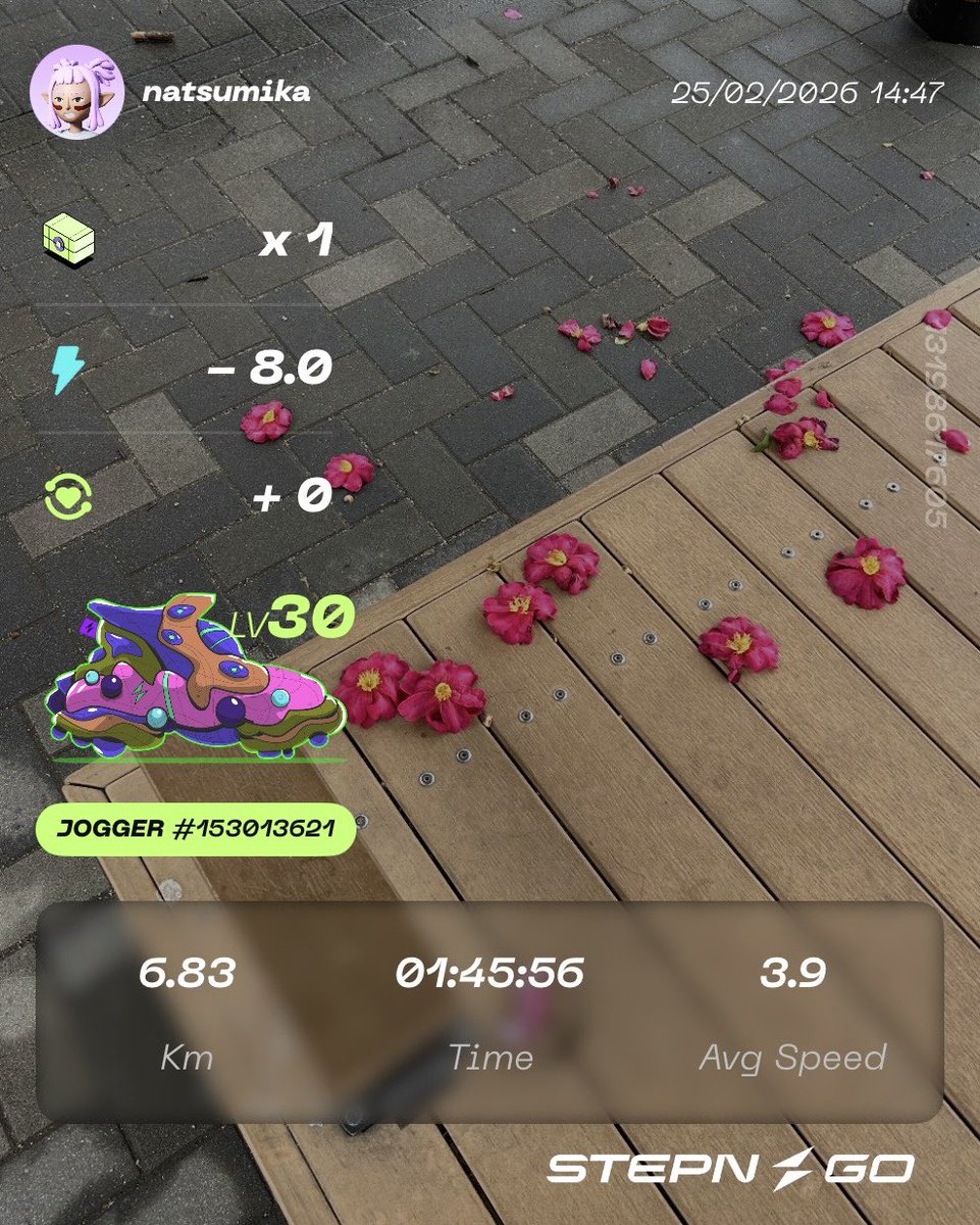 雨。
公園で誰かがお花で遊んでいたみたい🌺

あ〜S国で生まれた靴を育てたい育てたい育てたい！
P国の靴のレベル上げが終わるまで我慢我慢我慢！！

#STEPN #STEPNGO