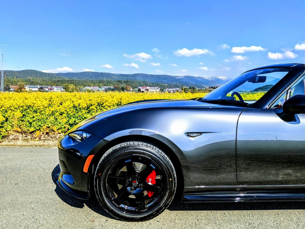 drbloodline24's tweet photo. 菜の花畑とマシーングレーのMSpRロードスター
A field of canola flowers and a machine gray MSpR Roadster.
#msprロードスター #MSRロードスター #マシーングレー #TeamBloodline #ロードスター https://t.co/IwsxKDgxkz