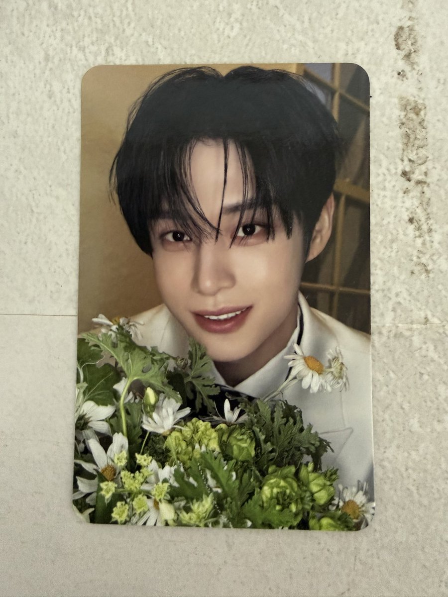 미미미 tweet media