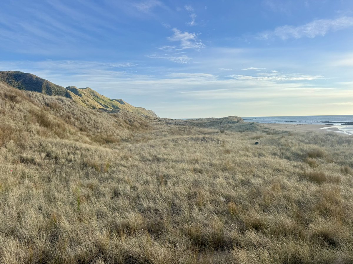 Leo Barber tweet media