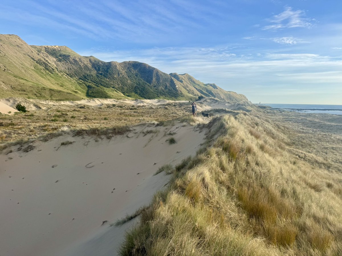 Leo Barber tweet media