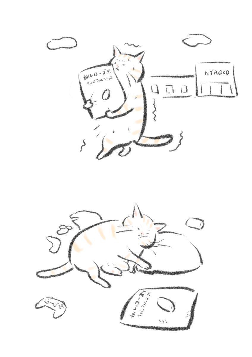 午前中にお米を買いに行ってしまったので午後はほとんど何もしなかった一日でした。