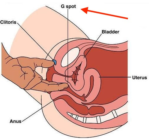 EasyMacaj's tweet photo. The meaning of the "G" in the 'G-Spot' must have come from the 'come-here' gesture your thumb (on d clit) and ur index (+ middle) finger(s) inside the puna, does.. 🤷‍♂️👇🏽 https://t.co/kXEU0cEdtP