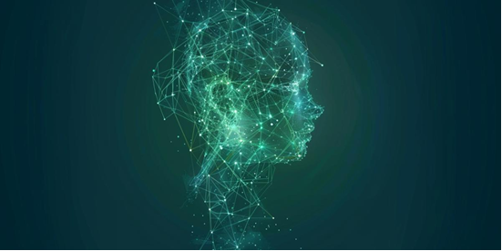 Fund. Formación OMC tweet media