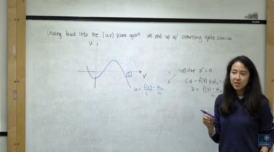 A lot of learning is a lovely thing, as the saying doesn't go. Take Christiana Mavroyiakoumou's Mathematical Physiology course, for example. Something to learn for the mathematician and non-mathematician alike.

Lecture 7: wave propagation in neurons: youtu.be/m0U-sePlrn0