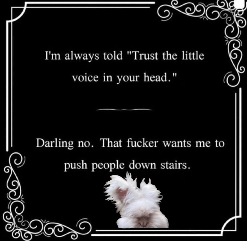 Daily Bruce (@badbunbruce) on Twitter photo 