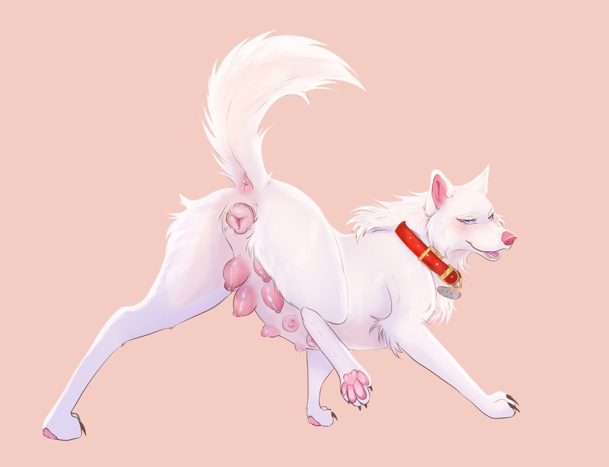 milky ⚜️🤍✨ tweet media