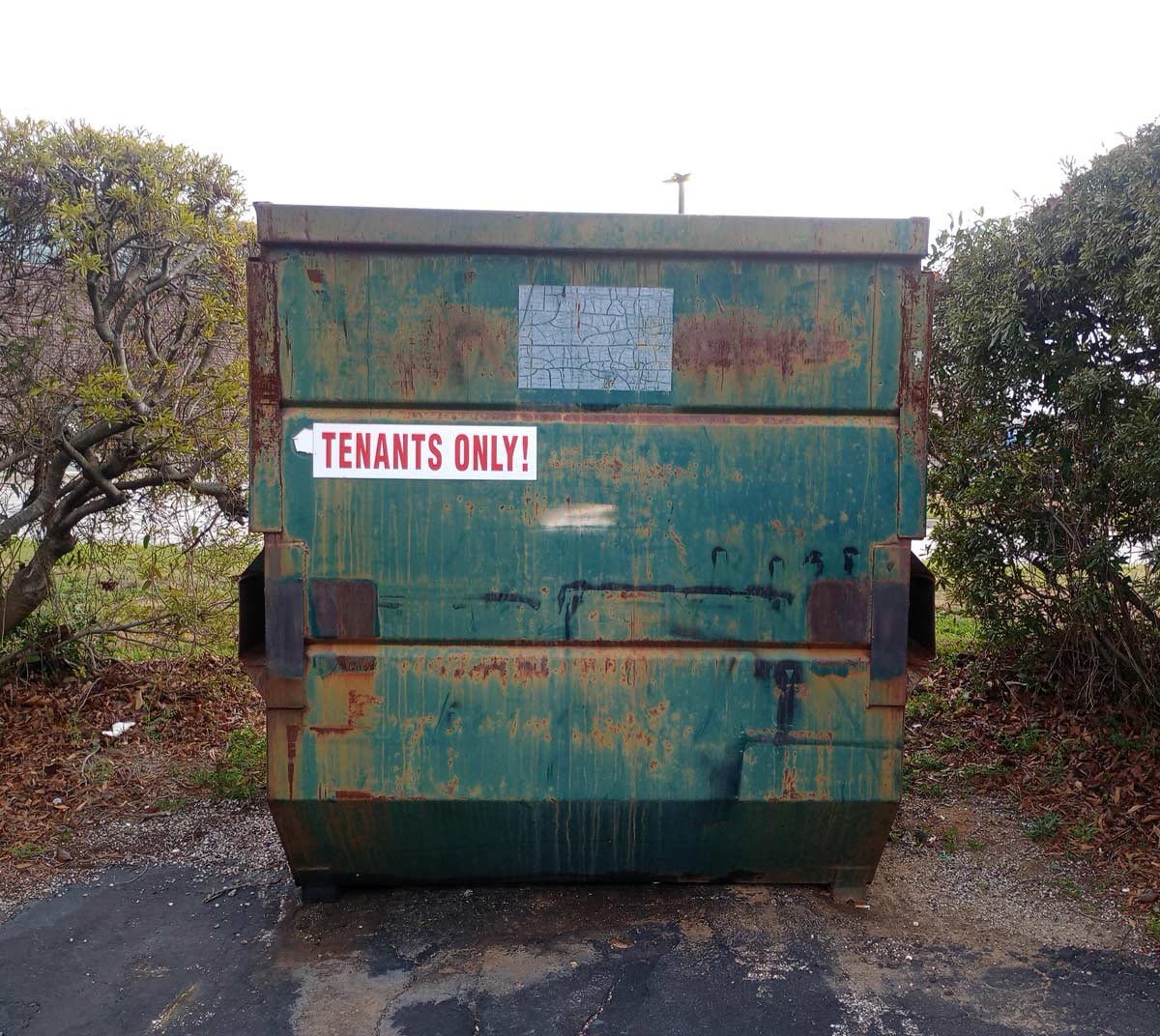 Paul Bronks tweet media