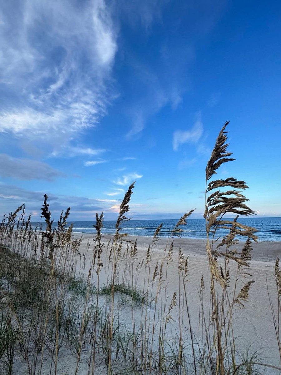 MagnificaLounge's tweet image. Me, You, and the Breeze
#sea #mare #plage #nature #beautiful
📷@lisa_martin900