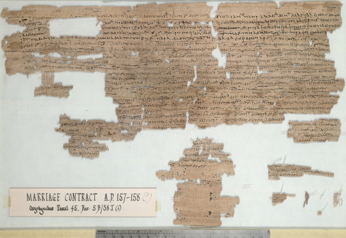 The Egypt Exploration Society tweet media