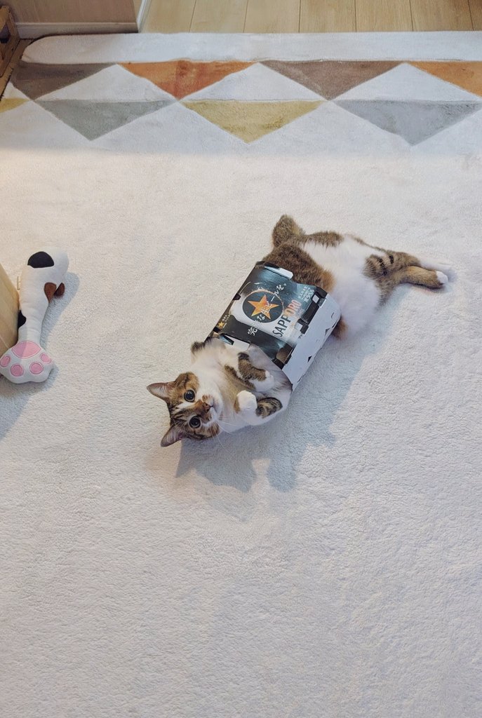 kei🐼 (@keichasunzel) / Posts / X