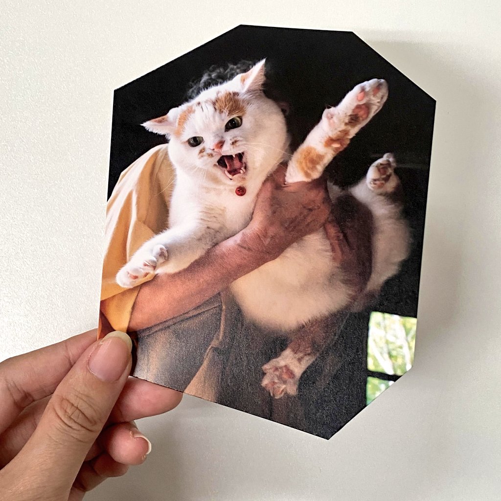 MARCO 🟡写真集「メイ先輩」🟡 (@marco74444) / Posts / X