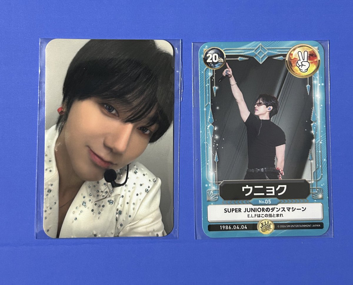 ⋆͛🦖⋆͛ tweet media