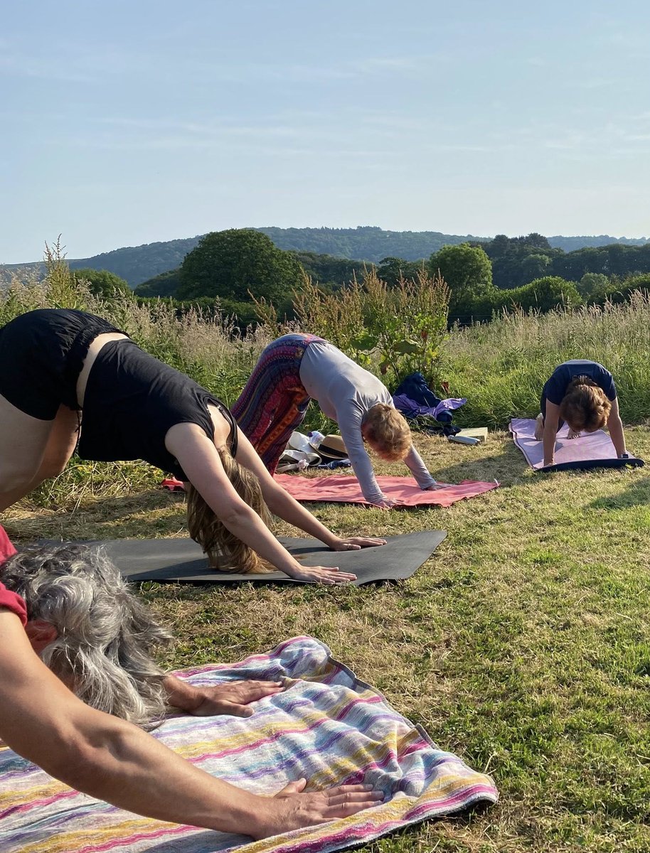 Exmoor National Park tweet media