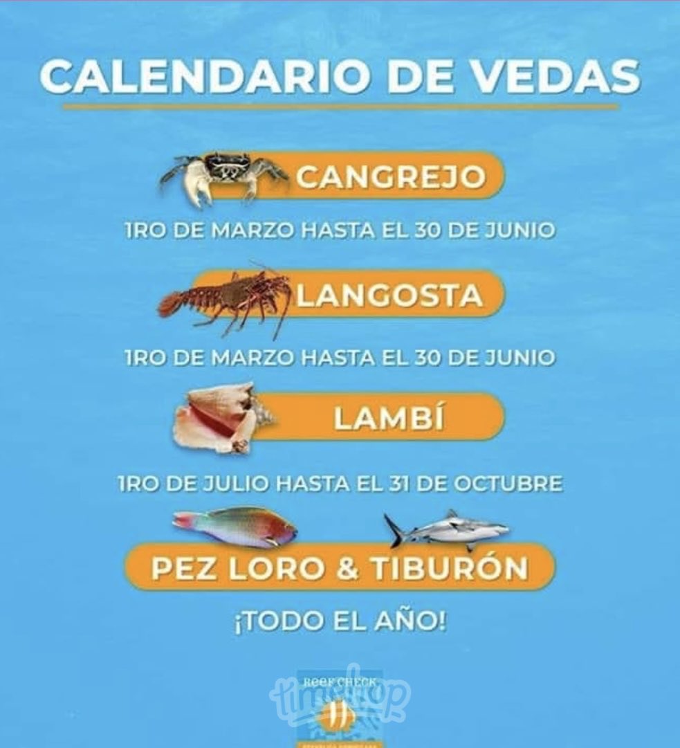 Fernando Anibal Capellan Peralta tweet media