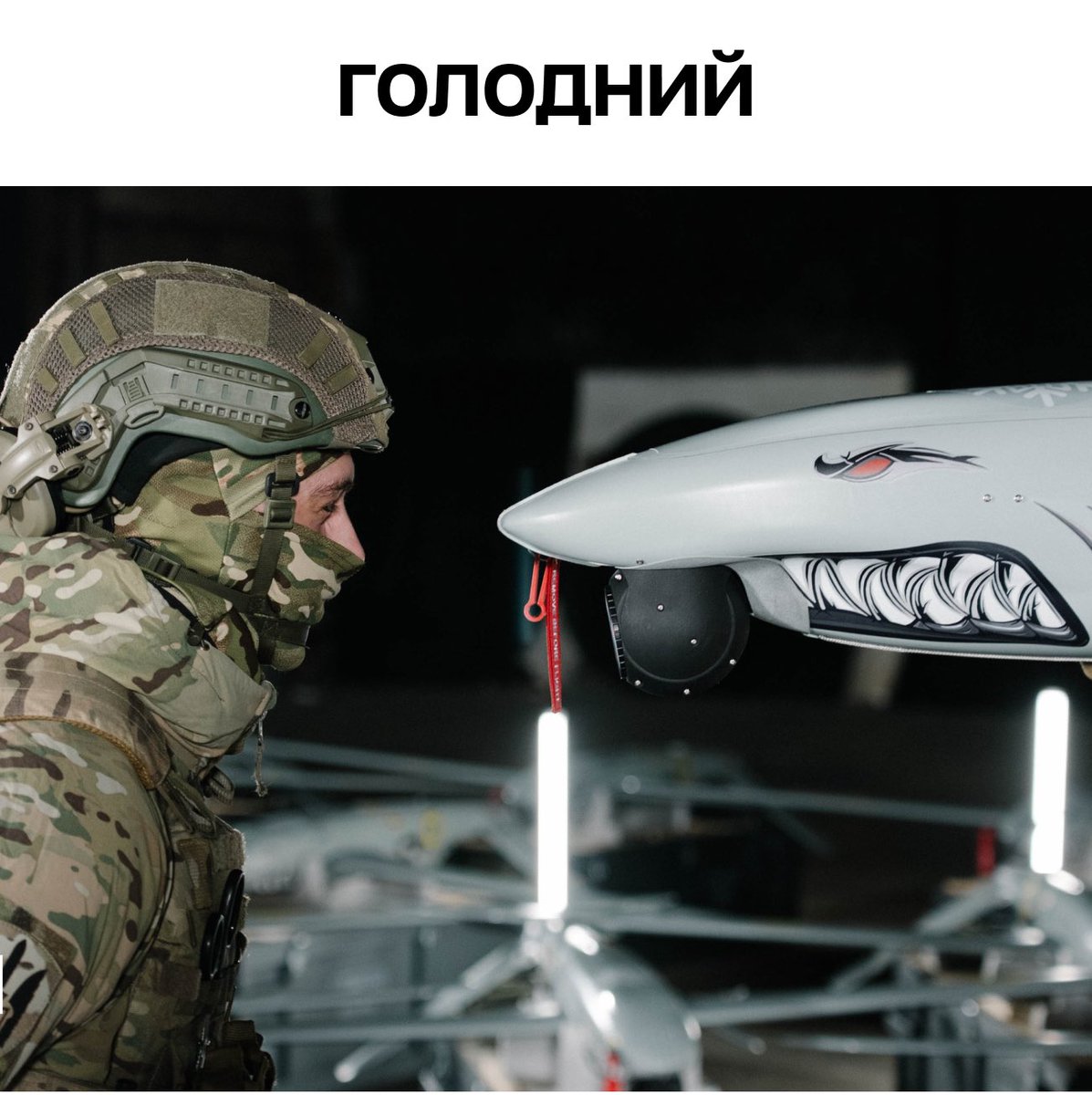 Повернись живим tweet media