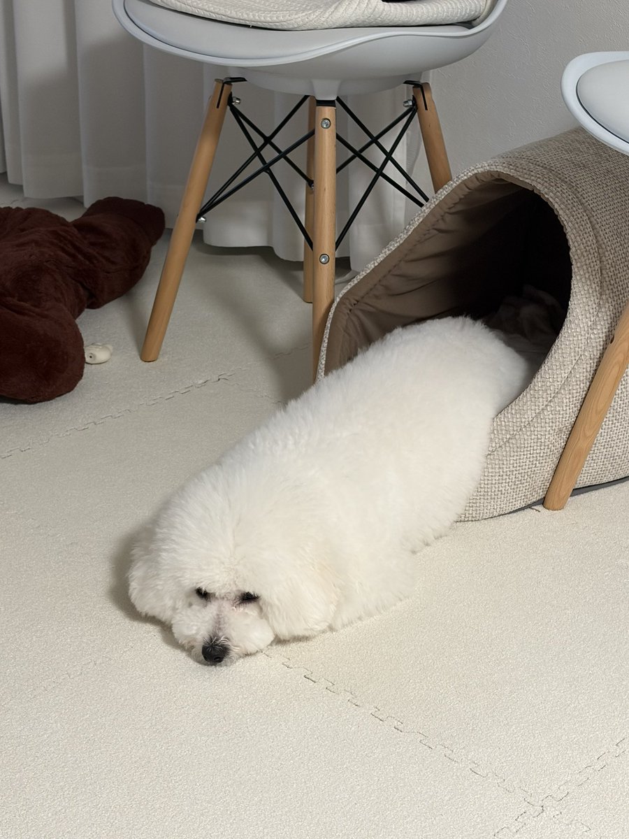 39造 (@mosa_suma_39zo) / Posts / X