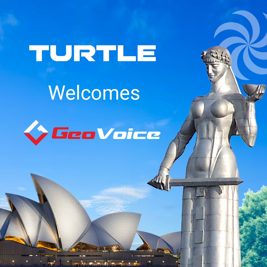 Turtle AV tweet media