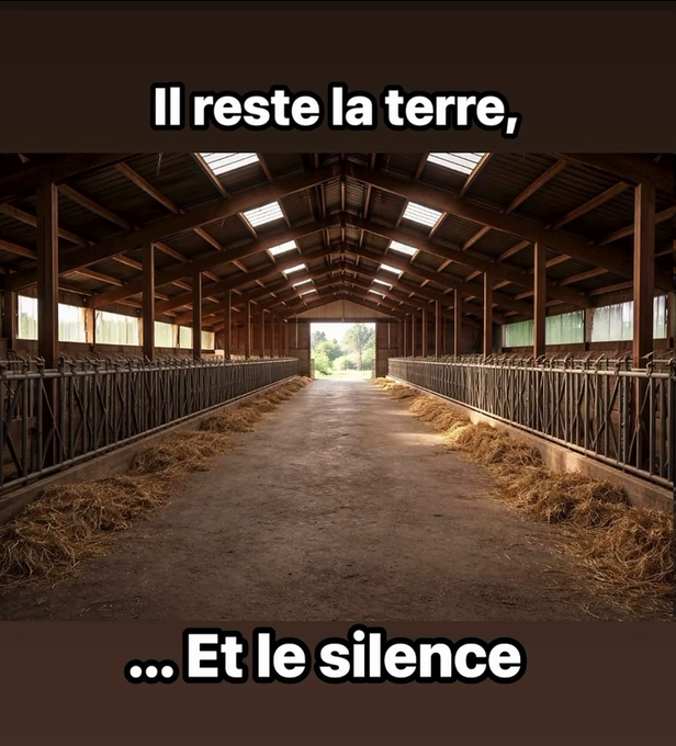 Une ferme française après le passage des vétérinaires et des gendarmes