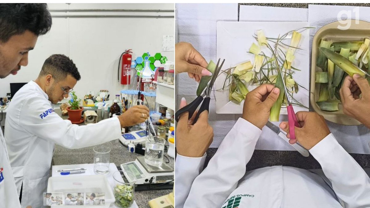 g1 Maranhão tweet media