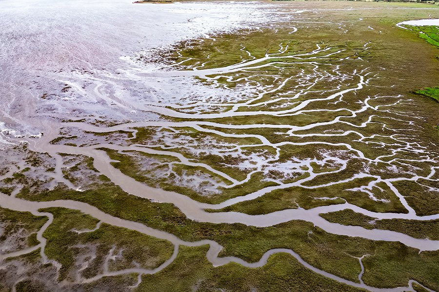 Geoffrey Kent tweet media