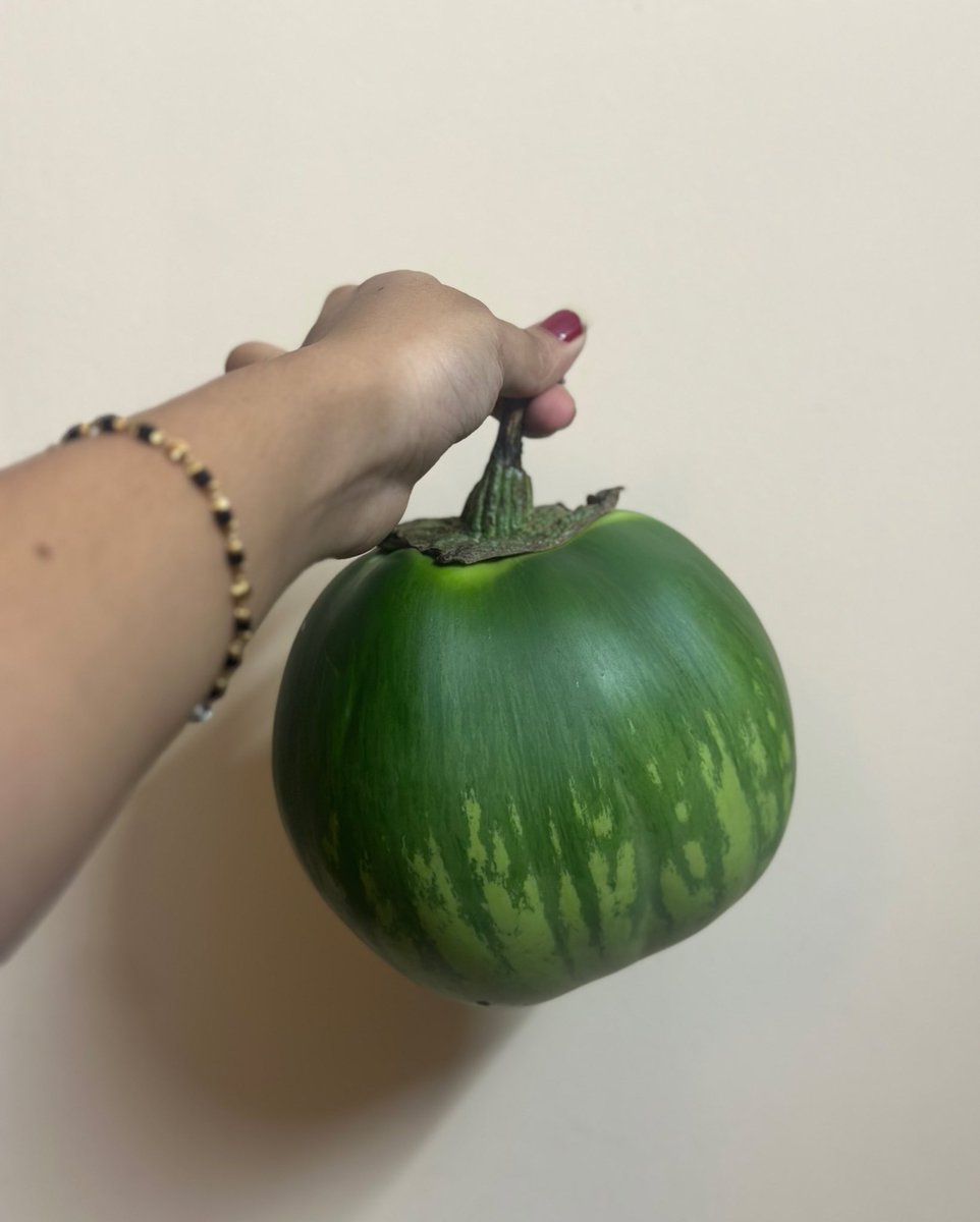nemo_rao's tweet photo. For the first time, I'm carrying a GI-tagged Mattu Gulla that is as big as my hand! ✨ Do you know the story of how this unique vegetable originated in a small village in Udupi?
#mattugulla https://t.co/ltbStRq4d0