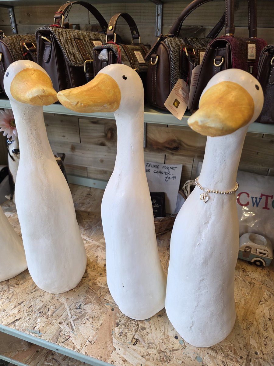 Halls of Llandaff tweet media