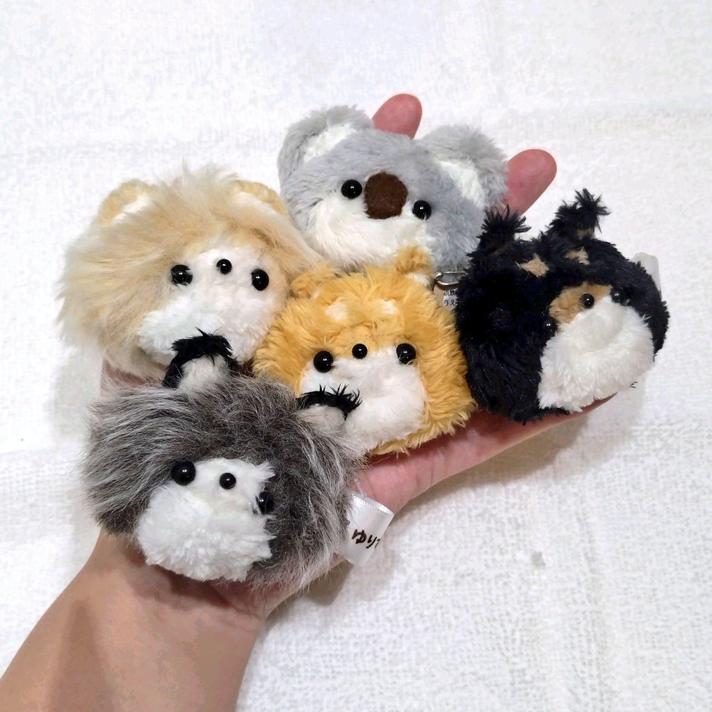 ゆりすけあにまる（ぬいぐるみ作家）@まるあにまる (@yurisukeanimal