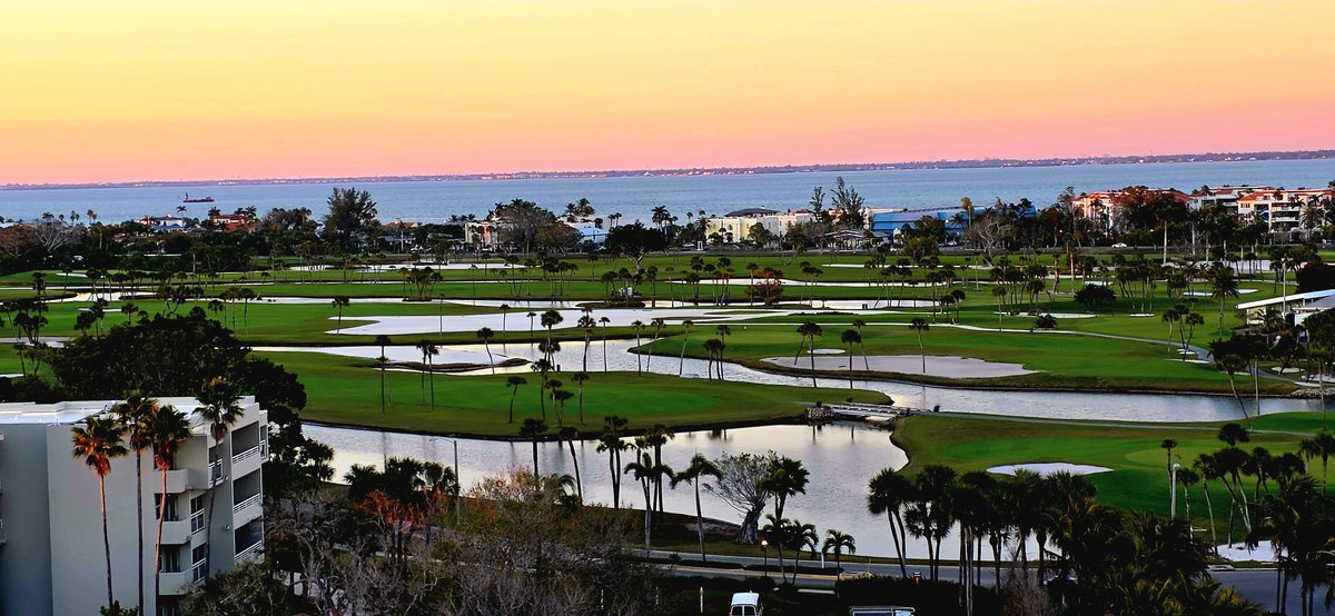 john reilly tweet media