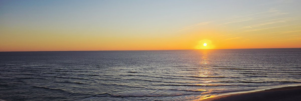 john reilly tweet media