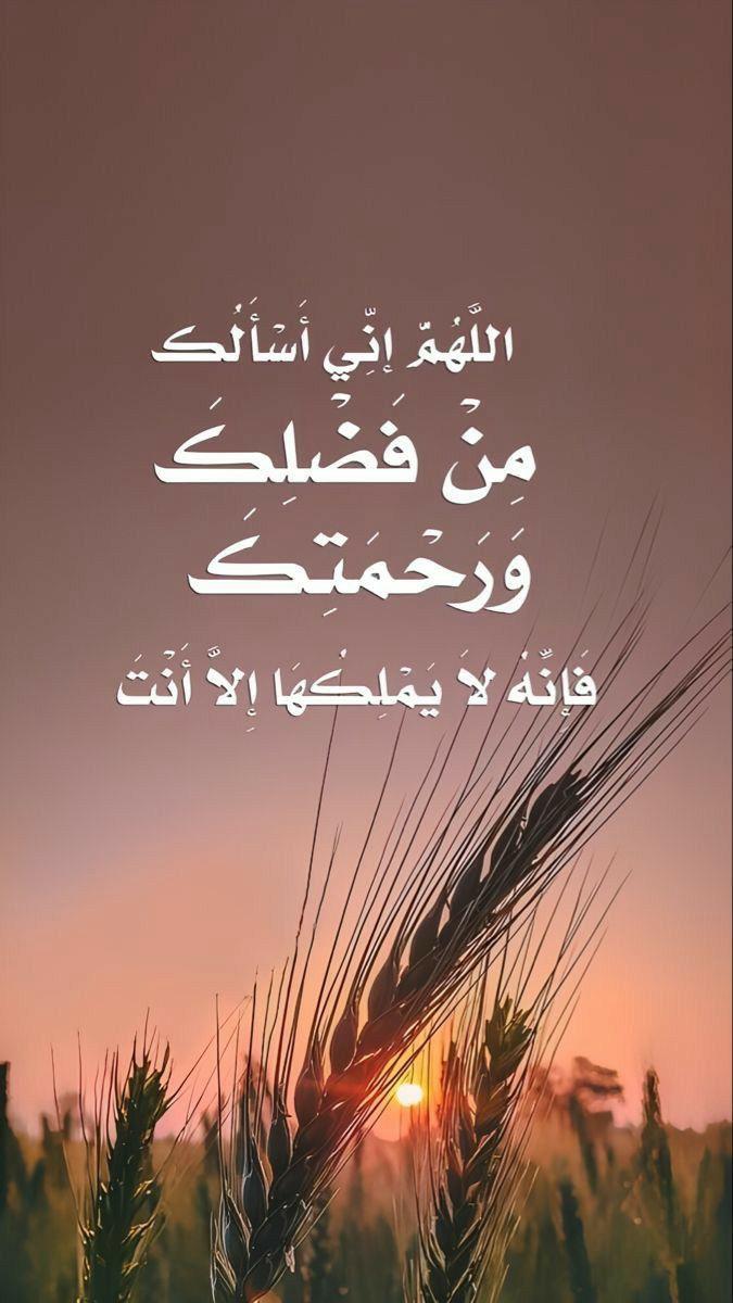 🇱🇧💗🇵🇸 عفاف ‎‎ (@mutlaqafaf) on Twitter photo 