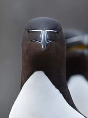 Hey <a href="/elonmusk/">Elon Musk</a> , I see similarities.