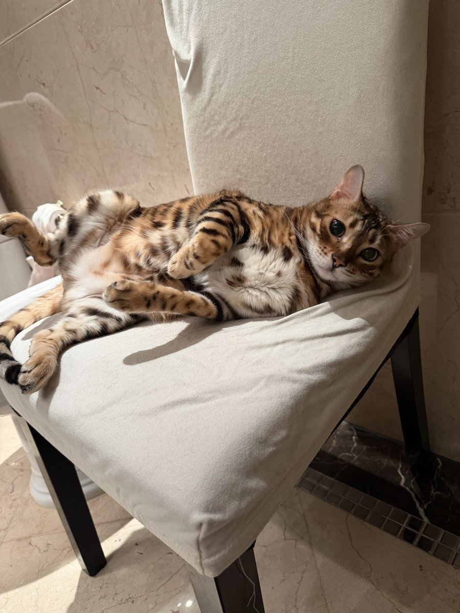 陈一发儿 tweet media