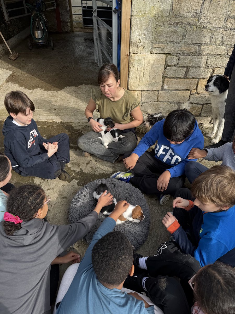 John Burns Primary tweet media