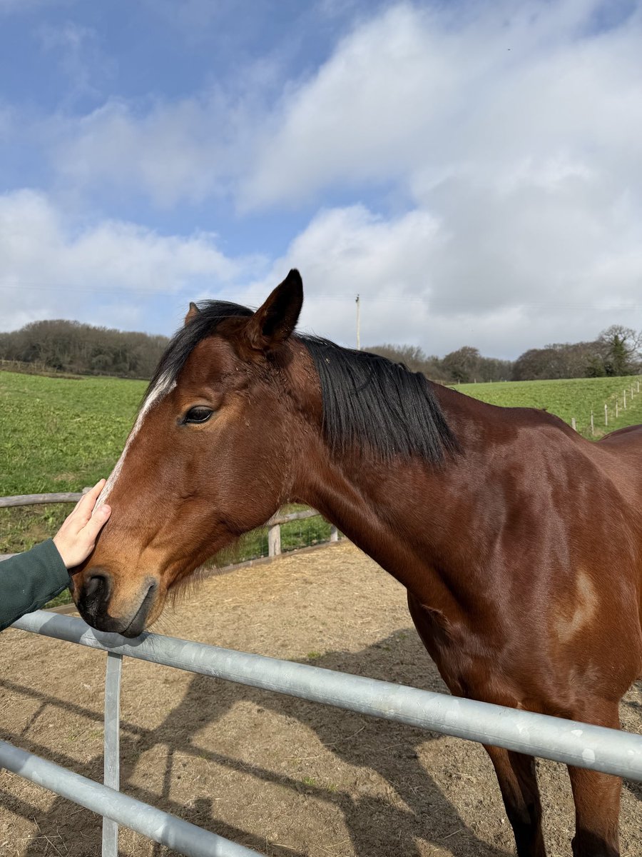 John Burns Primary tweet media