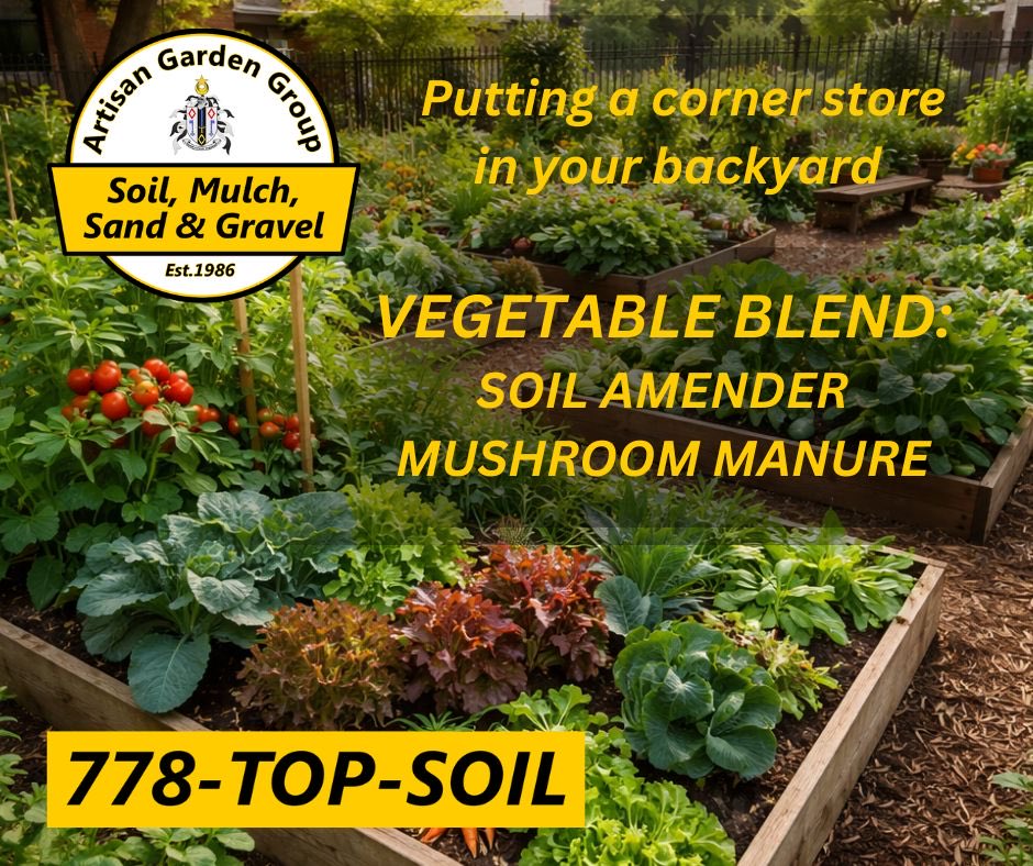 778topsoil's tweet photo. There is no better way to start your #Spring than to add Vegetable Blend garden soil to your #vegetablegarden bed.  

A mix of #compost and #mushroommanure this is an excellent source of organic matter to improve your #soil structure.

Call us at 604.867.7645 for #soildelivery https://t.co/gHSRqNaJVj