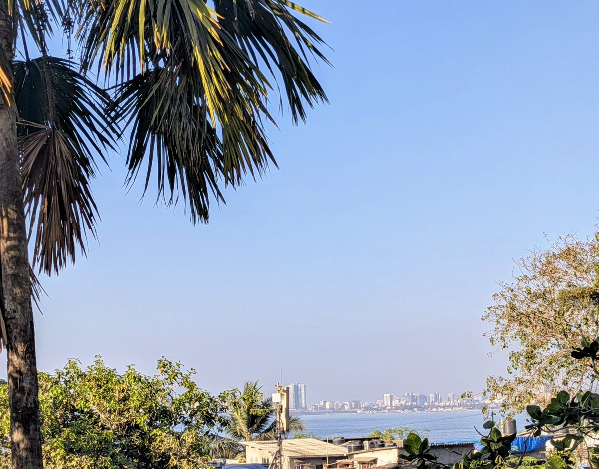 swatip's tweet photo. So much for a clear day! These fools are burning garbage in the backyard!!! 🤢😭 #Mumbai #AQI #pollution https://t.co/sFeClnw5eF