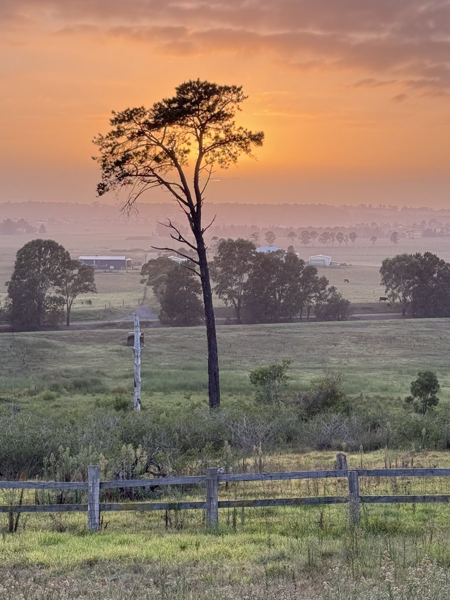 Greg Pitt tweet media